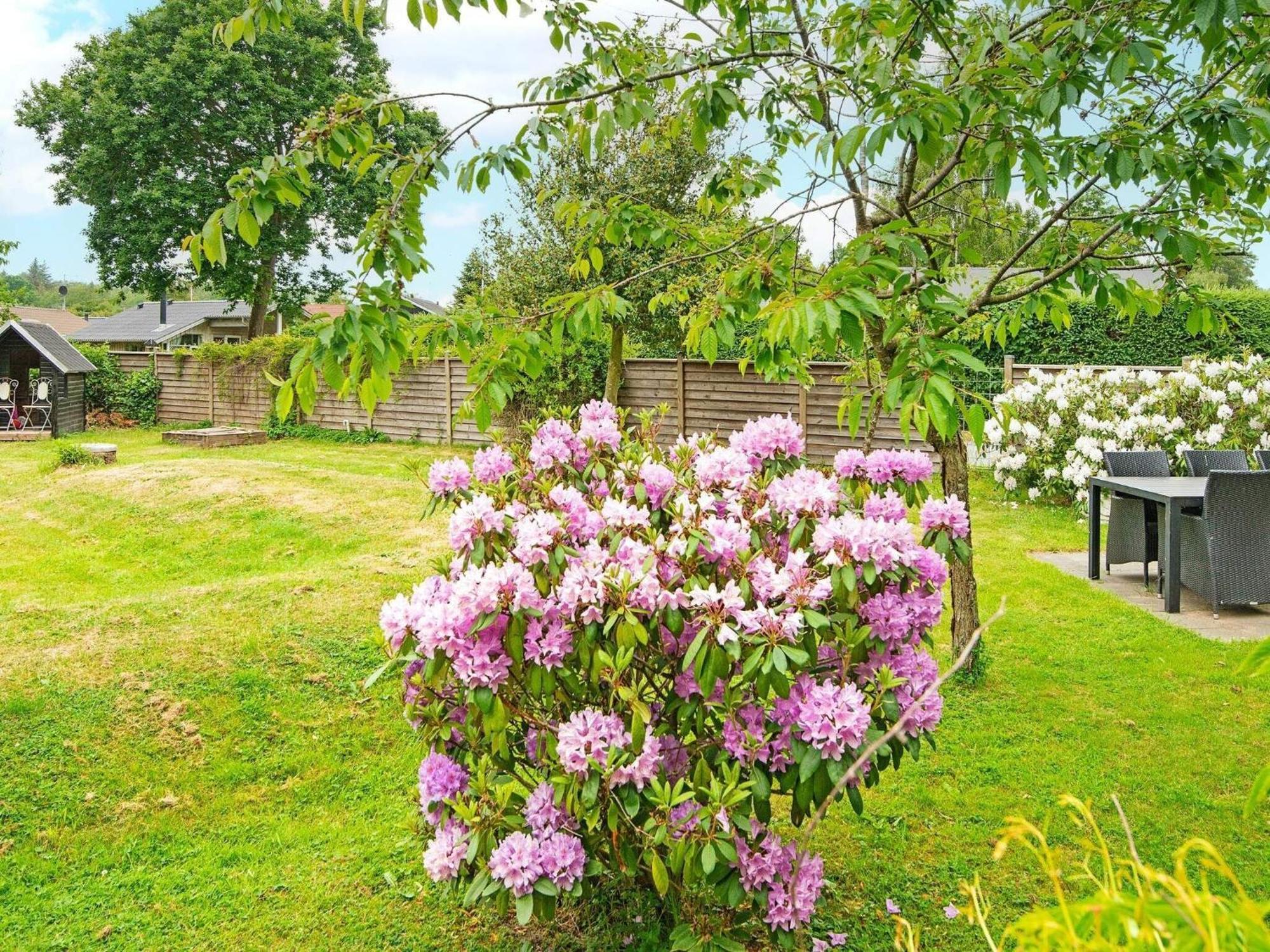 5 Person Holiday Home In B Rkop Egeskov  Exteriör bild